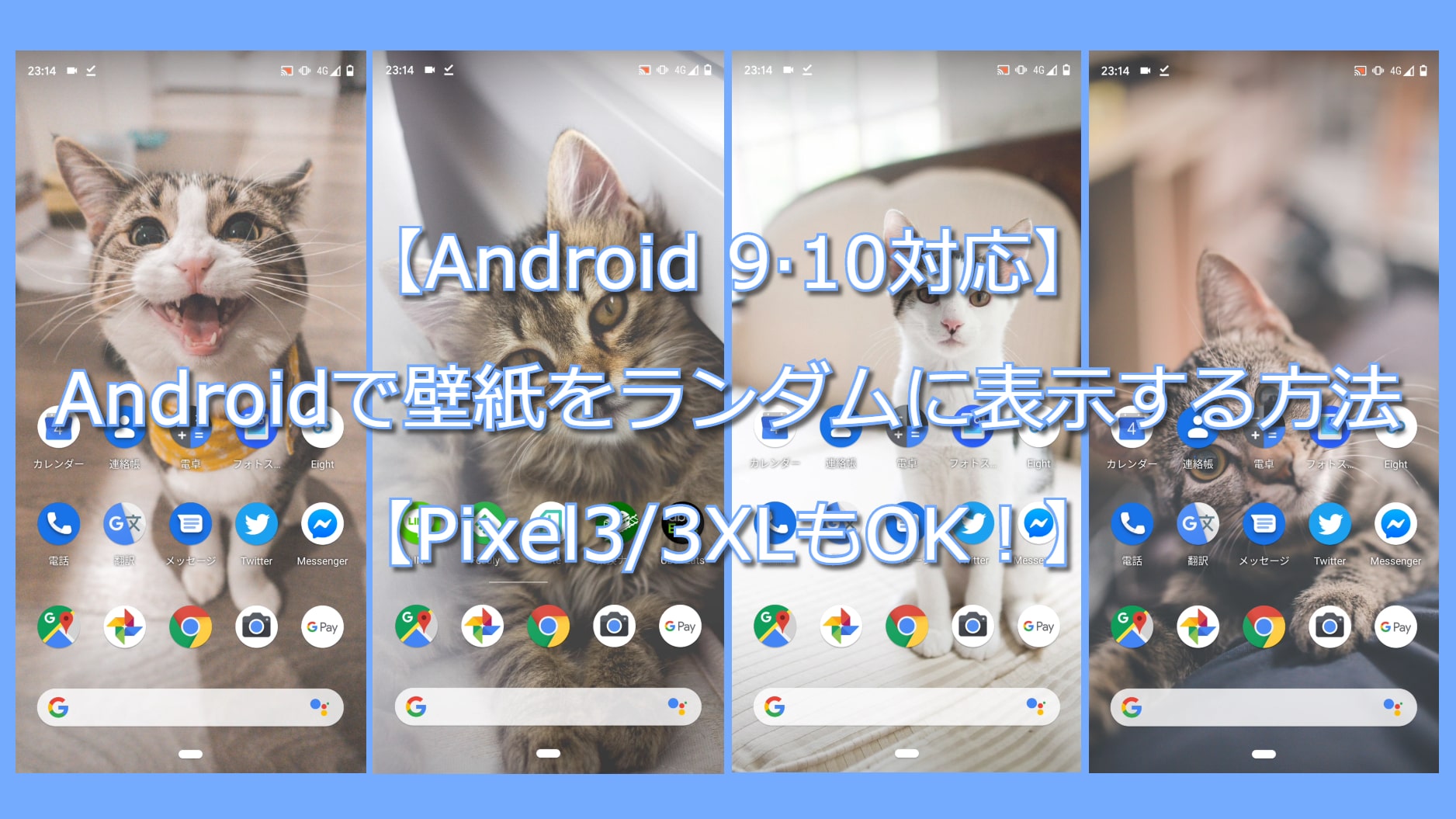 Android 9 10対応 壁紙をランダムに表示する方法 Pixel3 3xlもok